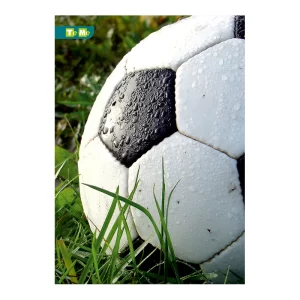 Caiet A4 de dictando, calitate premium, eco-friendly